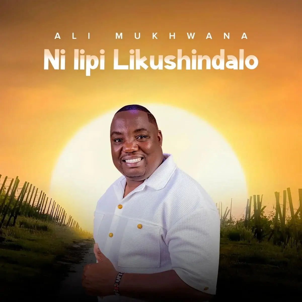 Ni Lipi Likushindalo audio by Ali Mukhwana